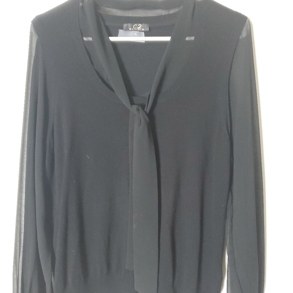 1pc  sweater vest w sheer sleeves